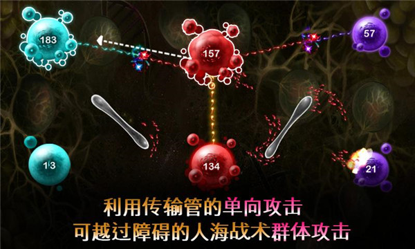 繁殖戰爭2