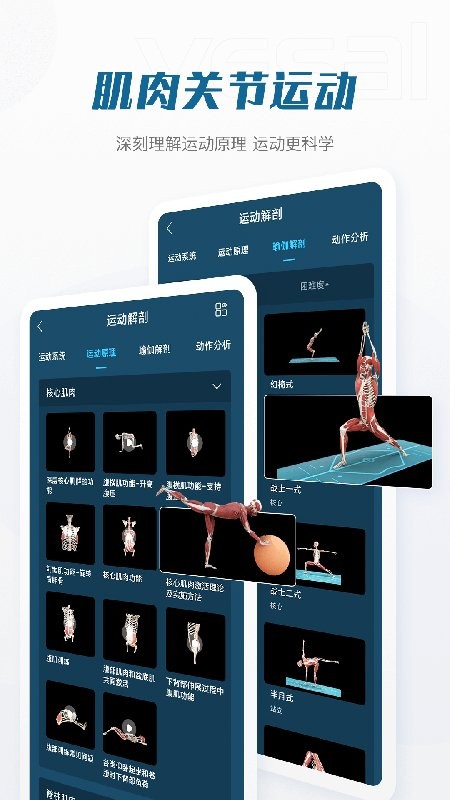 解剖大師app