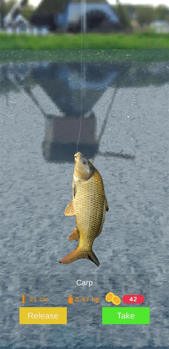 浮標釣魚