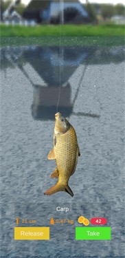 浮標釣魚