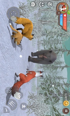 3D動(dòng)物模擬器國(guó)際服