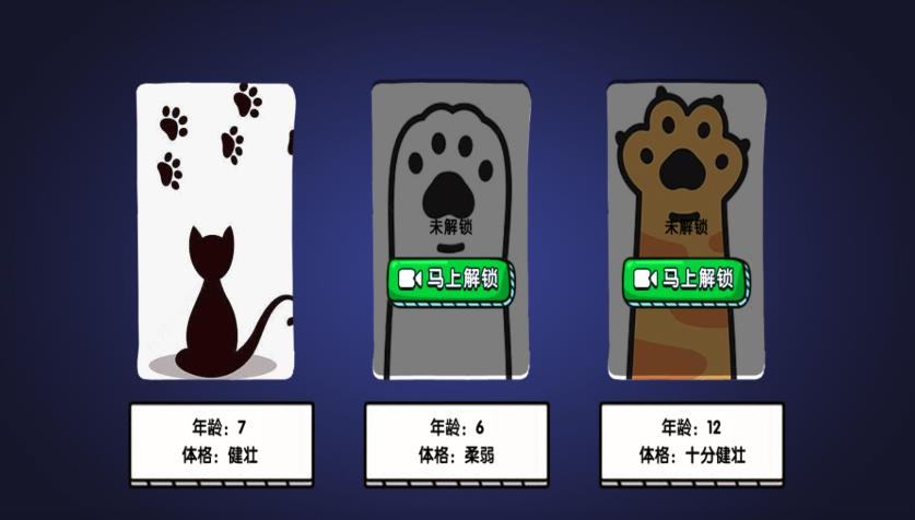 是一只猫咪呀