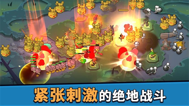 币币骑士