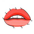连点成画(Dot to Dot)