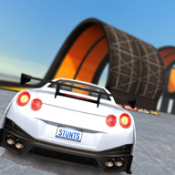 汽车特技比赛游戏(Car Stunt Races)