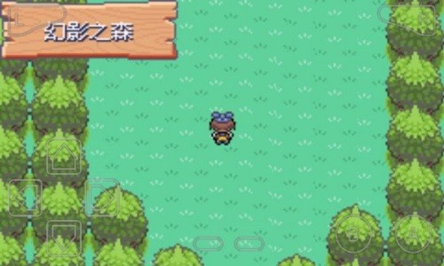 口袋妖怪漆黑的魅影5.0EX-BW版