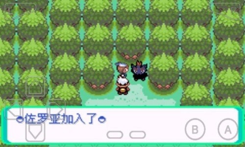 口袋妖怪漆黑的魅影5.0EX-BW版