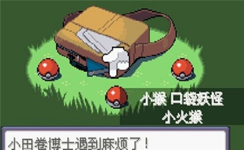 口袋妖怪漆黑的魅影5.0EX-BW版