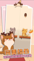 猫咪二重唱(Duet Cats)
