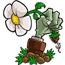 植物大战僵尸e版