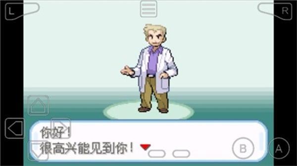 口袋妖怪葉綠386