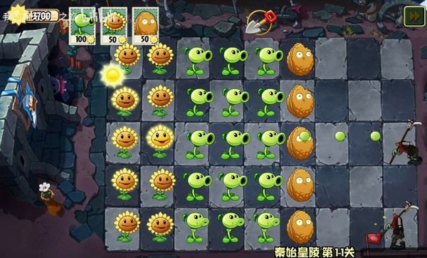 植物大戰僵尸wenhua版