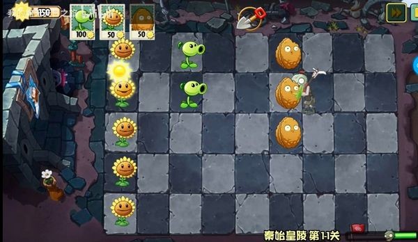 植物大戰僵尸wenhua版