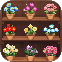 花兒繽紛消