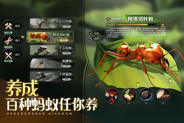 小小蟻國37官網(wǎng)版