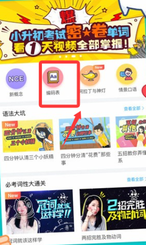 泡单词手机版