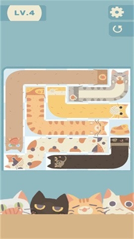 管道猫咪最新版