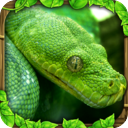 ģ