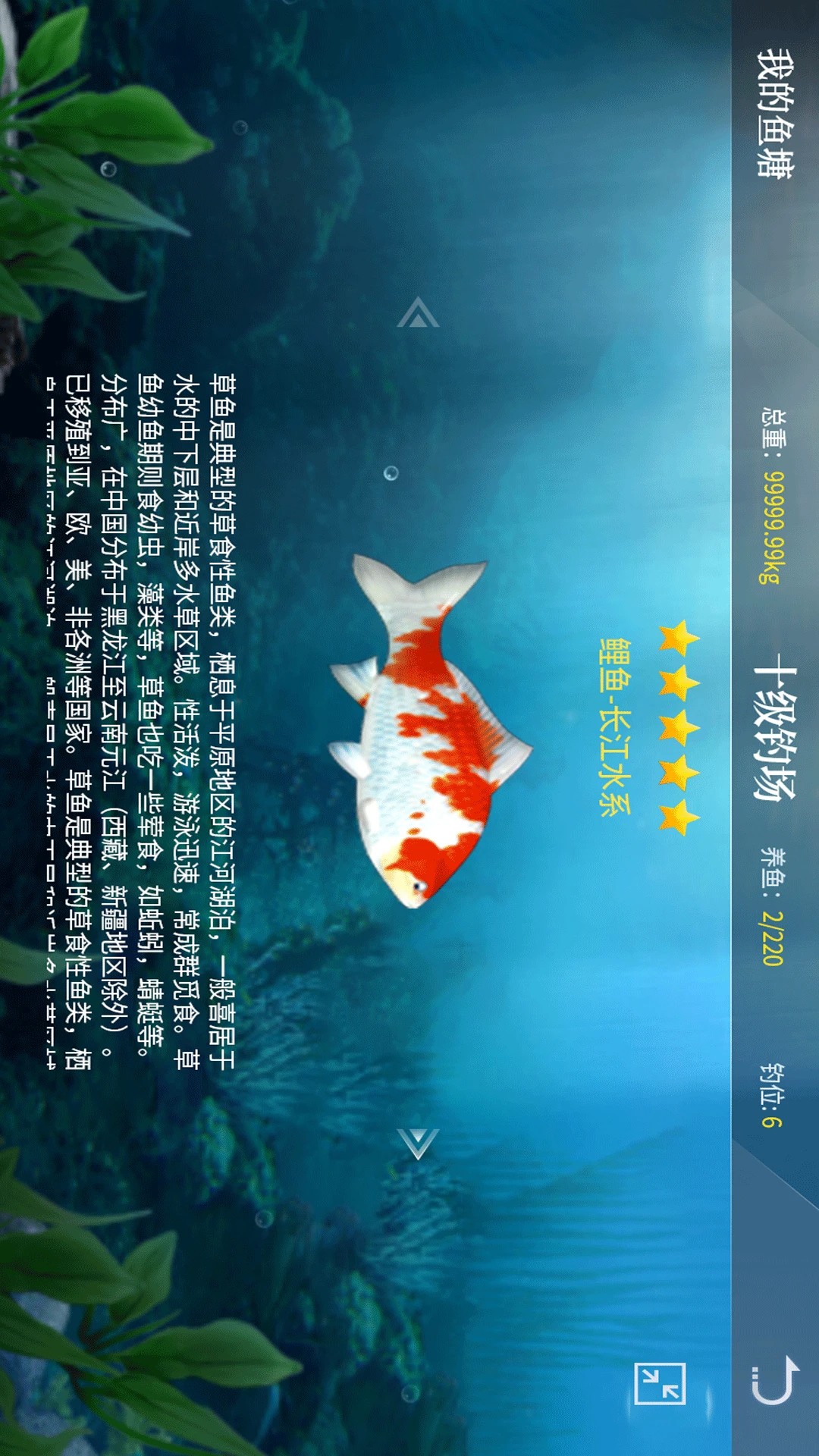 垂钓宗师手游