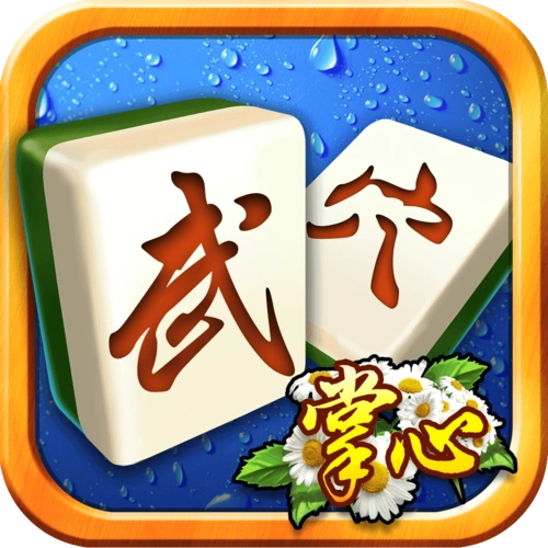 掌心武穴麻将