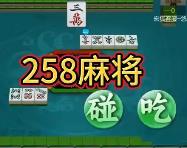 青海麻将258