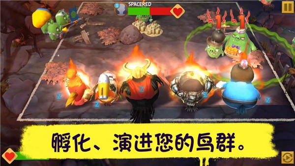 愤怒的小鸟进化手游 愤怒的小鸟进化手游