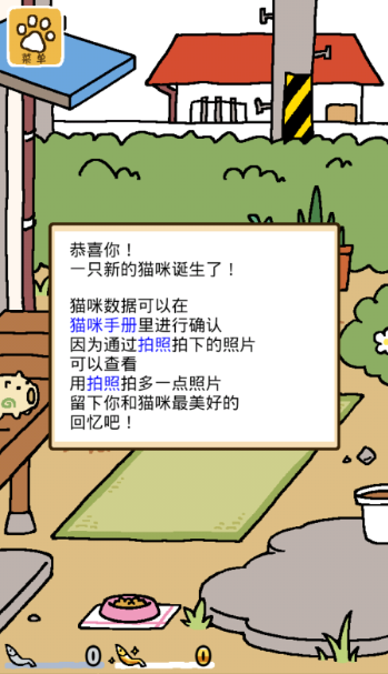 貓咪后院2最新版