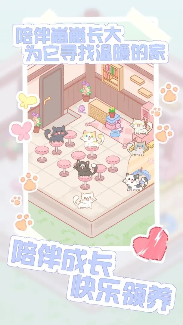 猫咪农场 猫咪农场