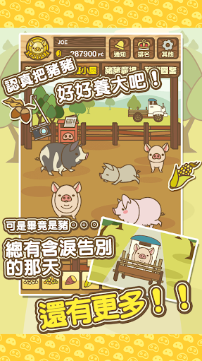 养猪场mix官方版