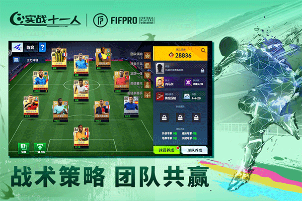 实战十一人 实战十一人