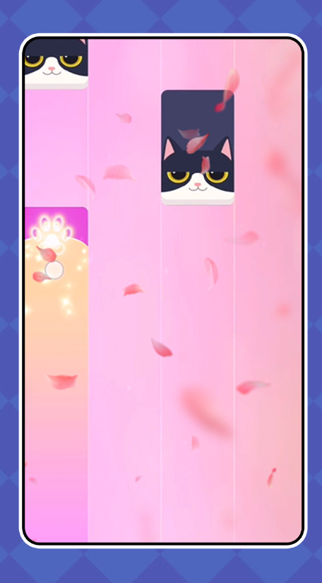 猫咪与球 猫咪与球