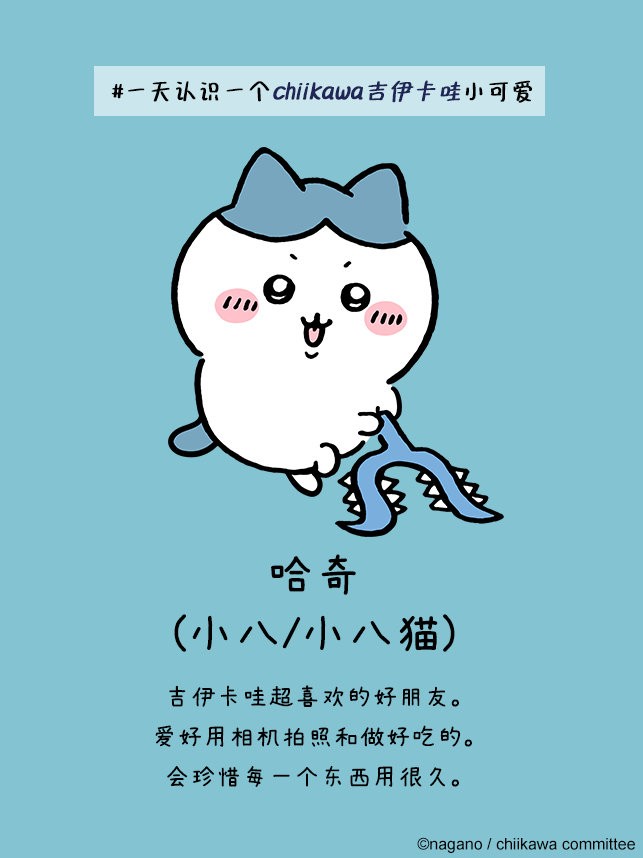 口袋吉伊卡哇中文版