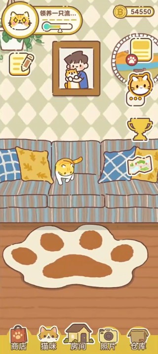 领养一只流浪猫游戏玩法3