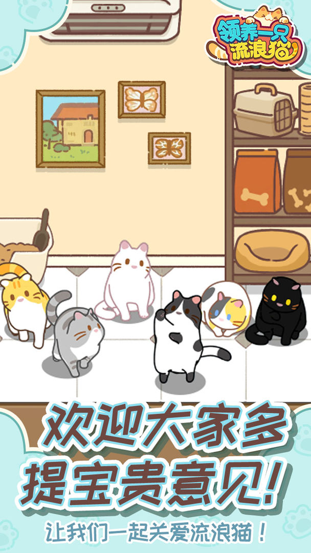 领养一只流浪猫手游