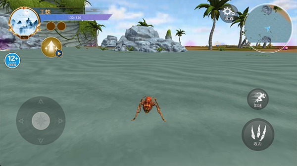 蜘蛛模拟生存 蜘蛛模拟生存