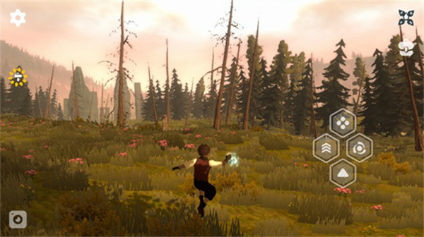 沙丘荒原 沙丘荒原