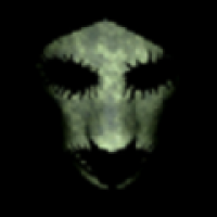 不會被發現的小屋(Undiscovered House)