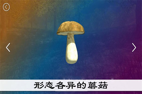 真實采集蘑菇模擬器