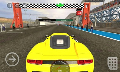 真正的赛车大师 真正的赛车大师