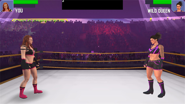 美女摔跤模拟器(Bad Girls Wrestling Game) 美女摔跤模拟器(Bad Girls Wrestling Game)