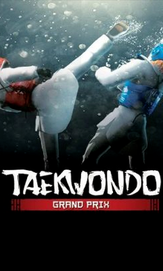 跆拳道大奖赛完整版