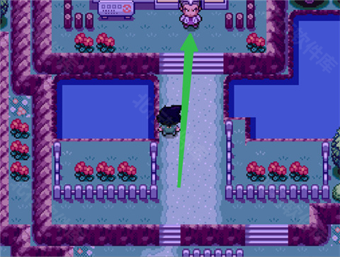 宝可梦SA重启小智的冒险