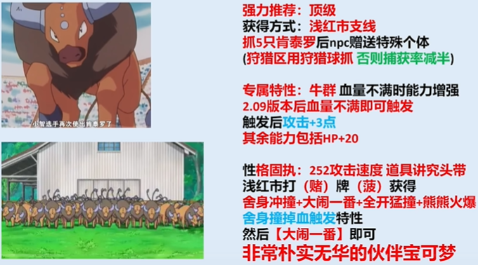 宝可梦SA重启小智的冒险