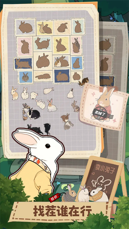 擠在一起的兔兔 擠在一起的兔兔