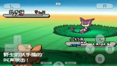 口袋妖怪白2 口袋妖怪白2