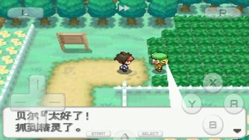 口袋妖怪白2 口袋妖怪白2