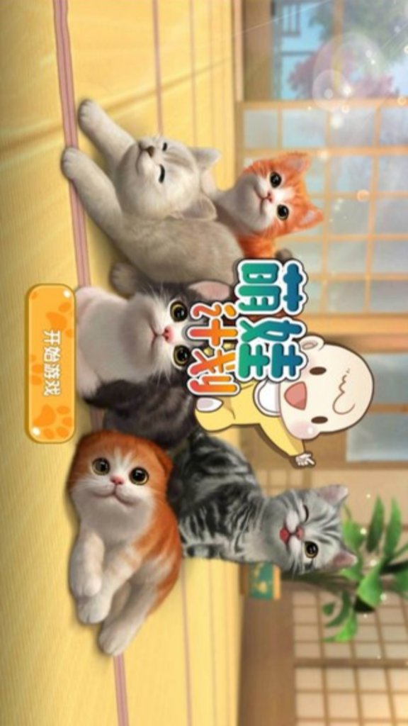 老奶奶与猫咪奇缘