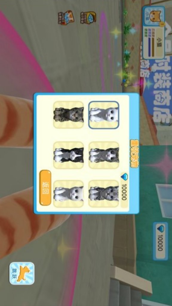 老奶奶与猫咪奇缘