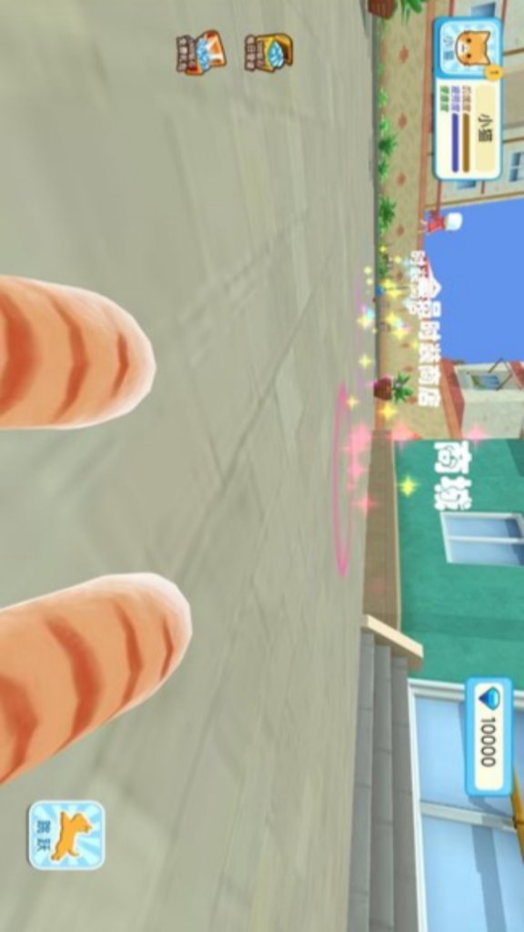 老奶奶与猫咪奇缘