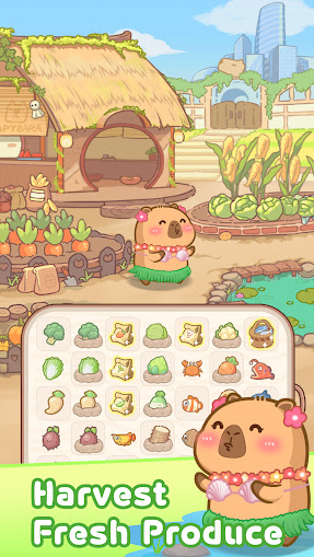 慢豚豚生活 慢豚豚生活